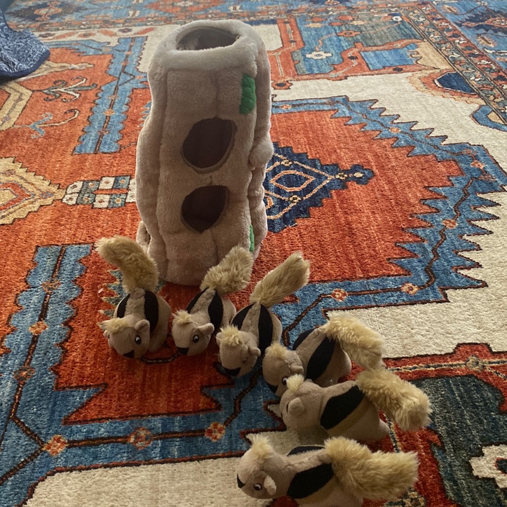 Dog toys
